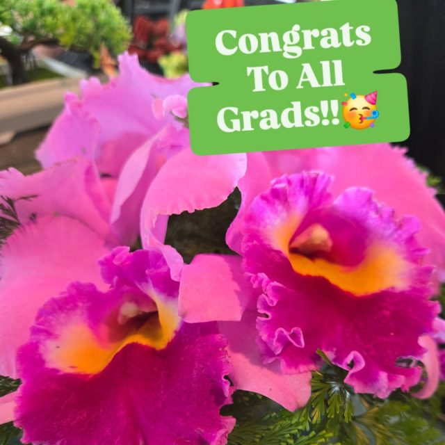 Congrats
To All
Grads!!🥳