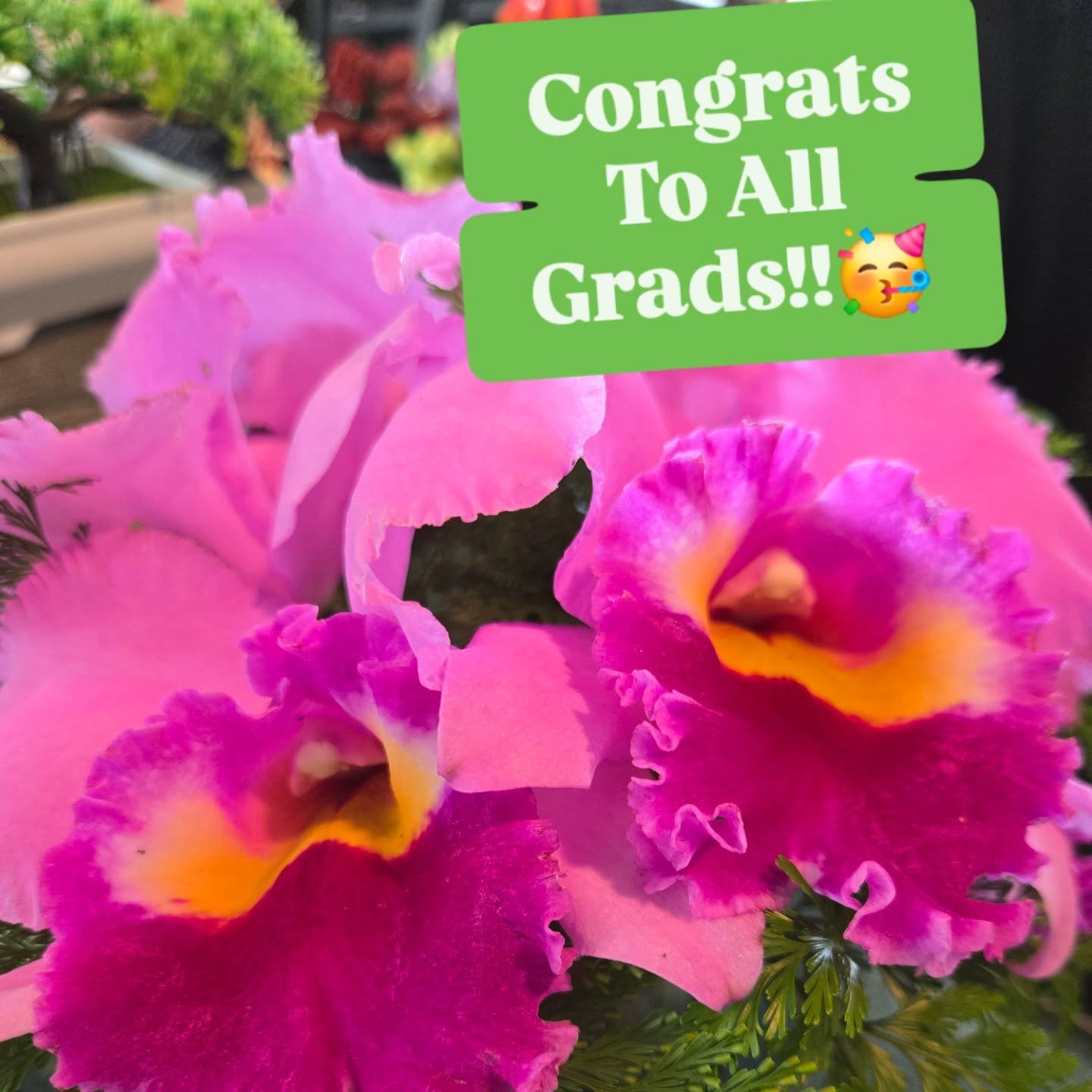 Congrats
To All
Grads!!🥳